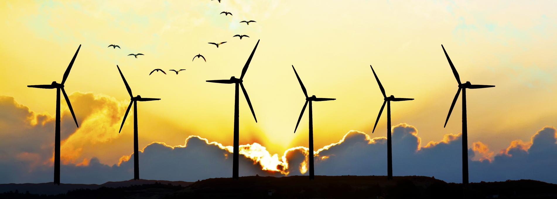 Wind Generators in front of a sunset